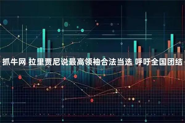 抓牛网 拉里贾尼说最高领袖合法当选 呼吁全国团结