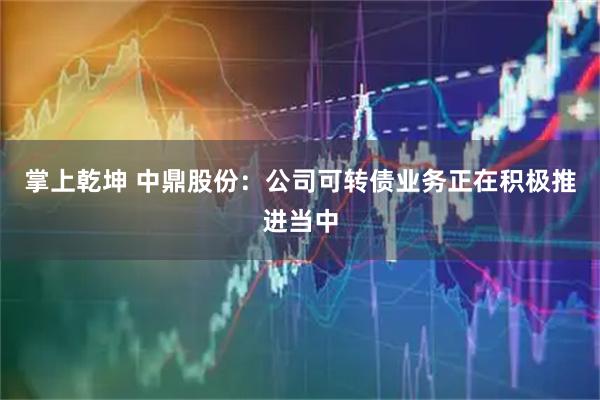 掌上乾坤 中鼎股份：公司可转债业务正在积极推进当中