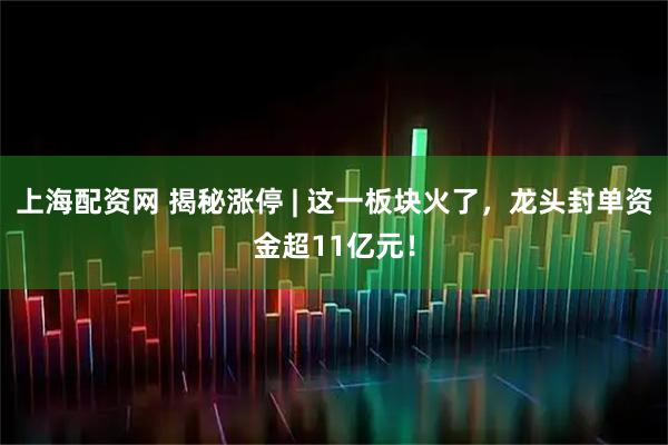 上海配资网 揭秘涨停 | 这一板块火了,龙头封单资金超11亿元!